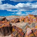 Petrified Forest National Park 이미지