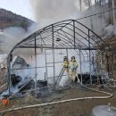 무릉도원면-44 이미지