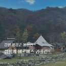 라플란드 | [강원도 평창] 아기랑 글램핑, 라플란드 G6 리뉴얼 솔직후기🏕️