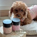 애기종합기획 | 강아지 종합영양제 울애기쌩쌩 노견 에너지 부스터