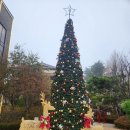 송도 언니네 | 내돈내산 송도대형카페 오픈런해야 하는 포레스트 아웃팅스 송도점