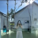 스테이인숲 이미지