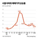 강남-025 이미지