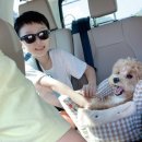 화촌면 야시대2리 4 | 홍천 가리산 계곡 밸리펜션 애견동반