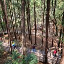 성지곡지 이미지