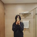 스트레이트 | 다이슨 에어스트레이트 스트레이트너 내돈내산 후기