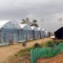 햇살그린농장 이미지