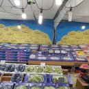 은정농원 이미지