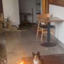 거양길-7 이미지