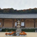 “거조사(居祖寺)” 경상북도 영천시 청통면 신원리 - 2024.11.14 이미지