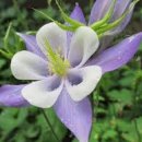 봉선체육공원1 이미지