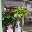 뚜레쥬르(울산옥동본점) 이미지