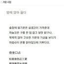 가암 Daum카페