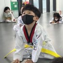 효성백호태권도장 이미지