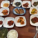 바람난고양이미용실