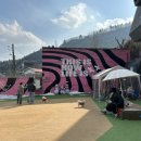 미앤마이독스 이미지