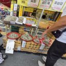 번개시장 | [경남 창원] 마산 번개시장 후기｜생각보다 규모가 컸던 장날, 채소 가격은 정말 놀라웠다