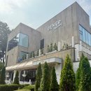 팬케이크] 제주도 브런치 맛집? 수제 버터가 이 집의 킥이다. 다들 잡숴봐.. 츄라이... (내돈내산 후기)