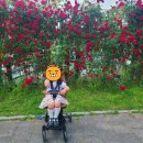 에이블카케어
