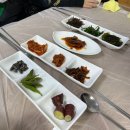 양숙이네횟집 | 경주 감포횟집 양숙이네 횟집, 친오빠 단골가게 솔직후기