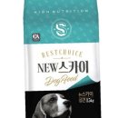 뉴스카이(주) 이미지