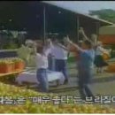 오렌지광고 티스토리