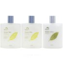 꽃을든남자 이미지