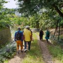 서리풀길 9 이미지