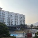 [청송] 소노벨 청송 펫 객실 후기 / 조식·솔샘온천까지 솔직 정리