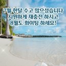 8월 1일 목요일 날씨정보 (705기 입영 4일차) 이미지