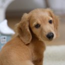 창원메디컬동물병원 이미지