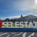 셀레스타 | 프랑스 알자스 스트라스부르 근교 당일 여행 동화마을 셀레스타