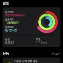 브라이튼휘트니스 이미지