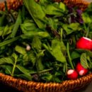 강릉사랑로컬푸드 | 강릉 맛집 순위 초당순두부, 짬뽕, 꼬막, 장칼국수