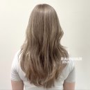 뉴코아아울렛 이미지