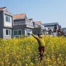 표선 민박 이미지