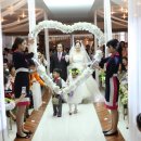 웨딩알리앙스 이미지