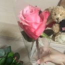 [리그라피] regraphy 화이트 프로필사진 후기 -`♥´-
