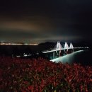 에덴동산펜션 | 부산 센텀시티 경주 에덴동산 포항 펜션 바쁘다