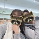[예물]25.2.8 (결혼)절대반지원정대 종착지 디플랜다이아몬드 내돈내산 후기 (종로예물투어)