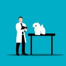 운정24시동물의료센터 이미지