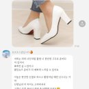 [w - 6 🕊️🤍] 제주 웨딩스냅 가성비 스냅 “로코코 스냅” 촬영 후기 - 흐린날 들판 컨셉 💚