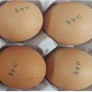 진일식품 이미지