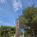 공주 가볼만한곳 고마나루 소나무숲길 여행코스 추천 솔직후기 계속 있고 싶었던 이유