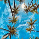 봄양계장 이미지