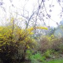 우룡산공원 이미지