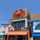 경북 영덕 강구항 남은대게 내돈내산 후기