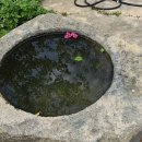 웰빙스포츠댄스 이미지