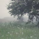 생활영어 이미지