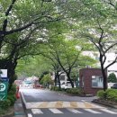 현대용흥 이미지